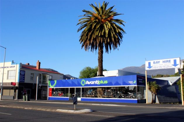 AvantiPlus Hobart… yes, the giant tree grows right through the middle of the store!